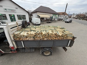  De vânzare Lemn foc fag 