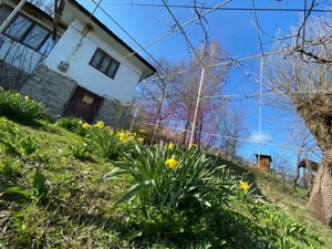 Casa demolabilă cu teren de vanzare in Breaza - imagine 4