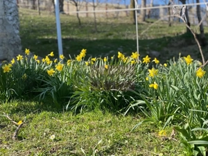 Casa demolabilă cu teren de vanzare in Breaza - imagine 6