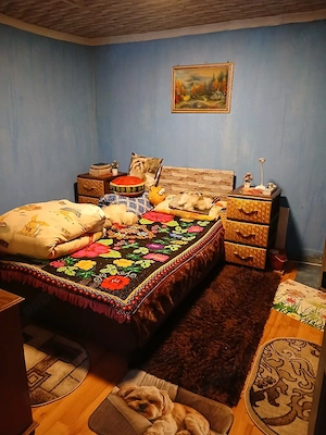 schimb casă chizătău cu apartament 1 cameră lugoj - imagine 4