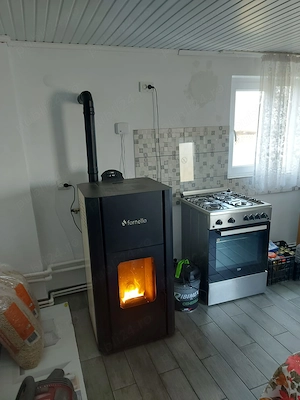 Casă la țară în Stejaru, Teleorman   teren 1000 mp, utilități complete, locuibilă - imagine 5