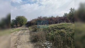 Comision 0%! Teren extravilan 2000mp, front 50m, Wonderland - imagine 3