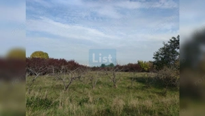 Comision 0%! Teren extravilan 2000mp, front 50m, Wonderland - imagine 2