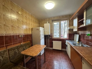 Resita, Apart. 3 Cam. cf.1, Semidec, Lunca - imagine 8