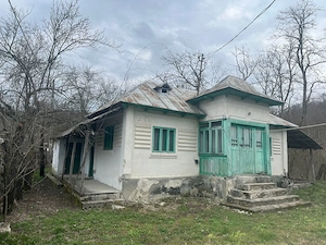 Gospodărie 2 case cu teren 5000m - imagine 4