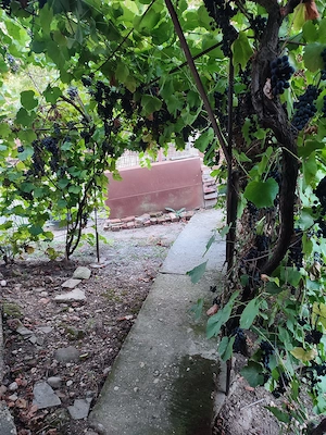 Vanzare casa Daia - Giurgiu - imagine 3