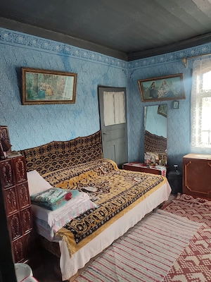 Vanzare casa Daia - Giurgiu - imagine 5
