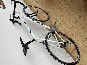 Cursieră, ultegra - imagine 2