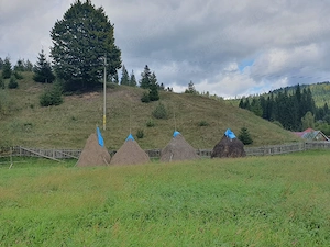 Vând fân și otavă 