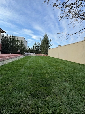 Amenajare si intretinere Spatii Verzi - imagine 3