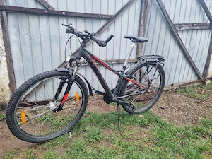 biciclete si drujbe de vanzare