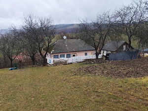 Casa la munte cu teren 