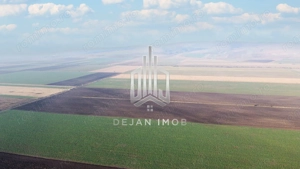 5 Ha | Teren extravilan | Langa Fabrica Reci - imagine 3