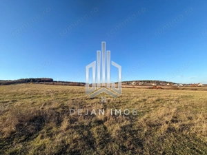 Teren Extravilan | 1.500 mp | Strada Pădurii - imagine 4