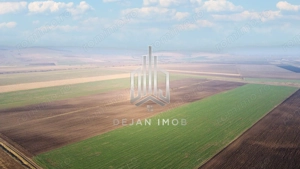 5 Ha | Teren extravilan | Langa Fabrica Reci - imagine 5