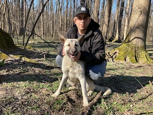 Donez câine tânăr și bland - imagine 3