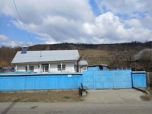 Casa Sat Scurta Bacău