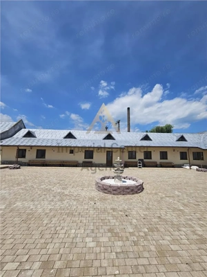 DOMENIU DE VANZARE  IN BORZESTI   ONESTI TABARA DE COPII,AZIL BATRANI,CENTRU DE SANATATE