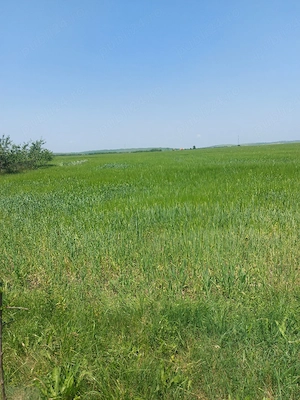 vand pamant extravilan 20.000 m 