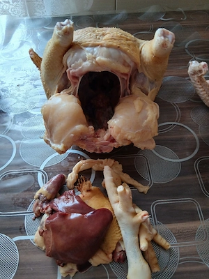 gaini de carne si pui