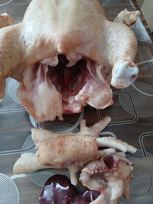 gaini de carne si pui