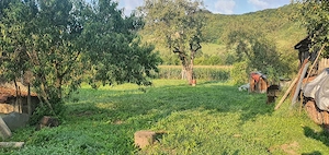 vand casa de locuit - imagine 6