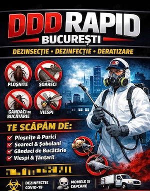 DDD Rapid București 