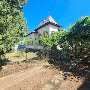 Casa 7 camere cu teren mare,livada și vie.