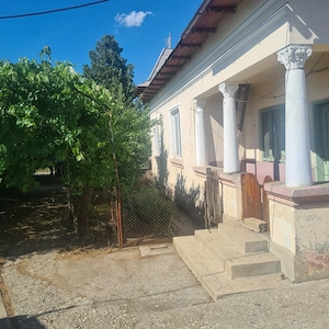 Casa 4 camere cu teren mare,livada și vie. - imagine 3