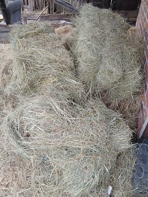 Vand baloti 2025 calitate foarte bună