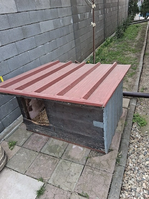 Vand cusca caine - imagine 2