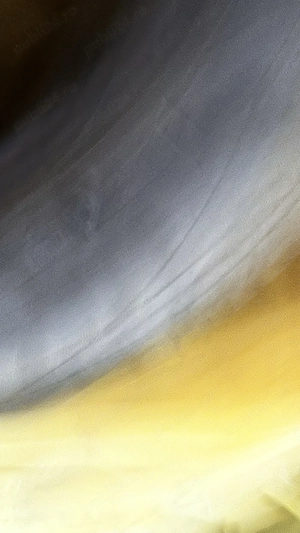 Anvelope 185/65 R15 – set sau bucata – preț bun  - imagine 3