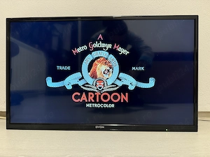 TV Smart,WI-FI,USB,netflix,youtube,facebook-made in Germany ! - imagine 3