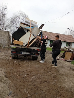 de vazare porci si trasport diverse  - imagine 3