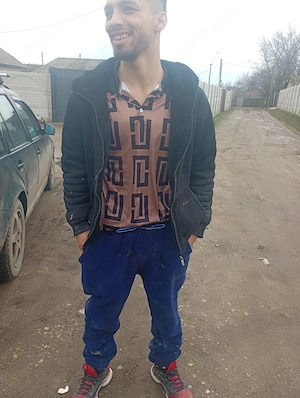 de vazare porci si trasport diverse 