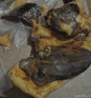Sunca  pastrama de gasca si rata afumate