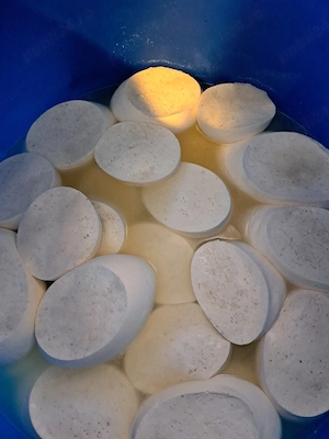 Branza de oaie si capra ,pret 30 lei 