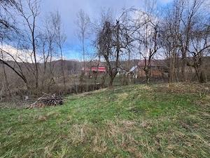 Teren intravilan de vânzare (Pausesti-Maglasi) - imagine 5