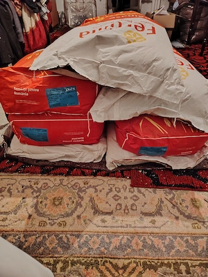 Sămânța de Grâu disponibilă.