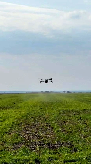 Prestari cu drona DJI T50   precizie RTK , tratamente rapide , fara tasare , eficienta maxima  - imagine 5