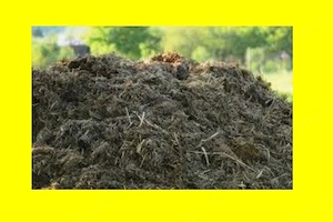 donez balegar vaci ingrasamant pamant mranita