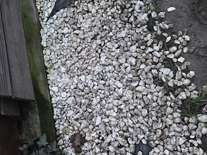 Piatra alba decorativa 