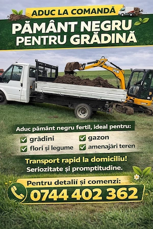 Execut Lucrări cu Miniexcavator +Transport Basculabil - imagine 2