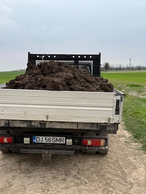 Execut Lucrări cu Miniexcavator +Transport Basculabil - imagine 3