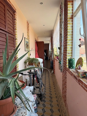 Am de vanzare casa renovata,  cu teren 1797 mp, Carpinis, Iecea Mică, proprietar - imagine 4
