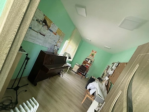 Am de vanzare casa renovata,  cu teren 1797 mp, Carpinis, Iecea Mică, proprietar - imagine 5