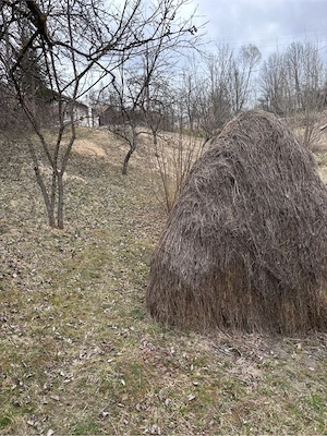teren intravilan de vanzare in Valea Doftanei - imagine 5
