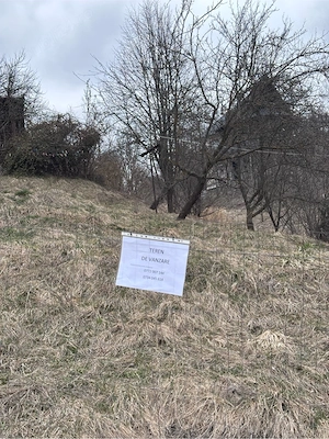 teren intravilan de vanzare in Valea Doftanei - imagine 3