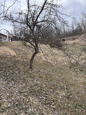 teren intravilan de vanzare in Valea Doftanei - imagine 4