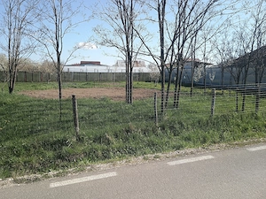 Vând teren. Loc Moșoaia str. Olteni. 1300mp. Poziție deosebita la strada deschidere 45m.utilitati.